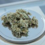 maconha sintética - 3