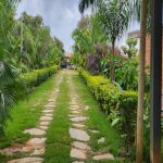 Clínica De Recuperação para Mulheres em Baldim MG - Entrada da Clinica