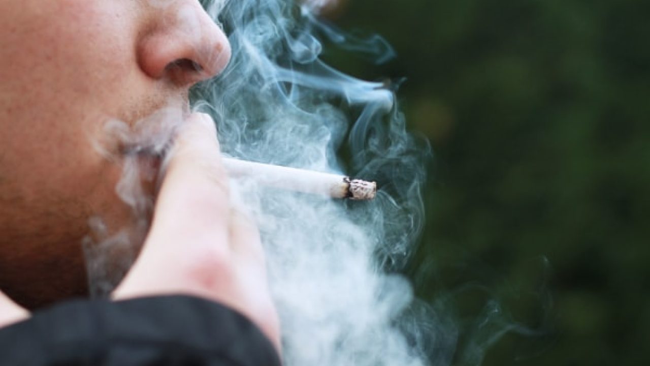 Composição 1_00018