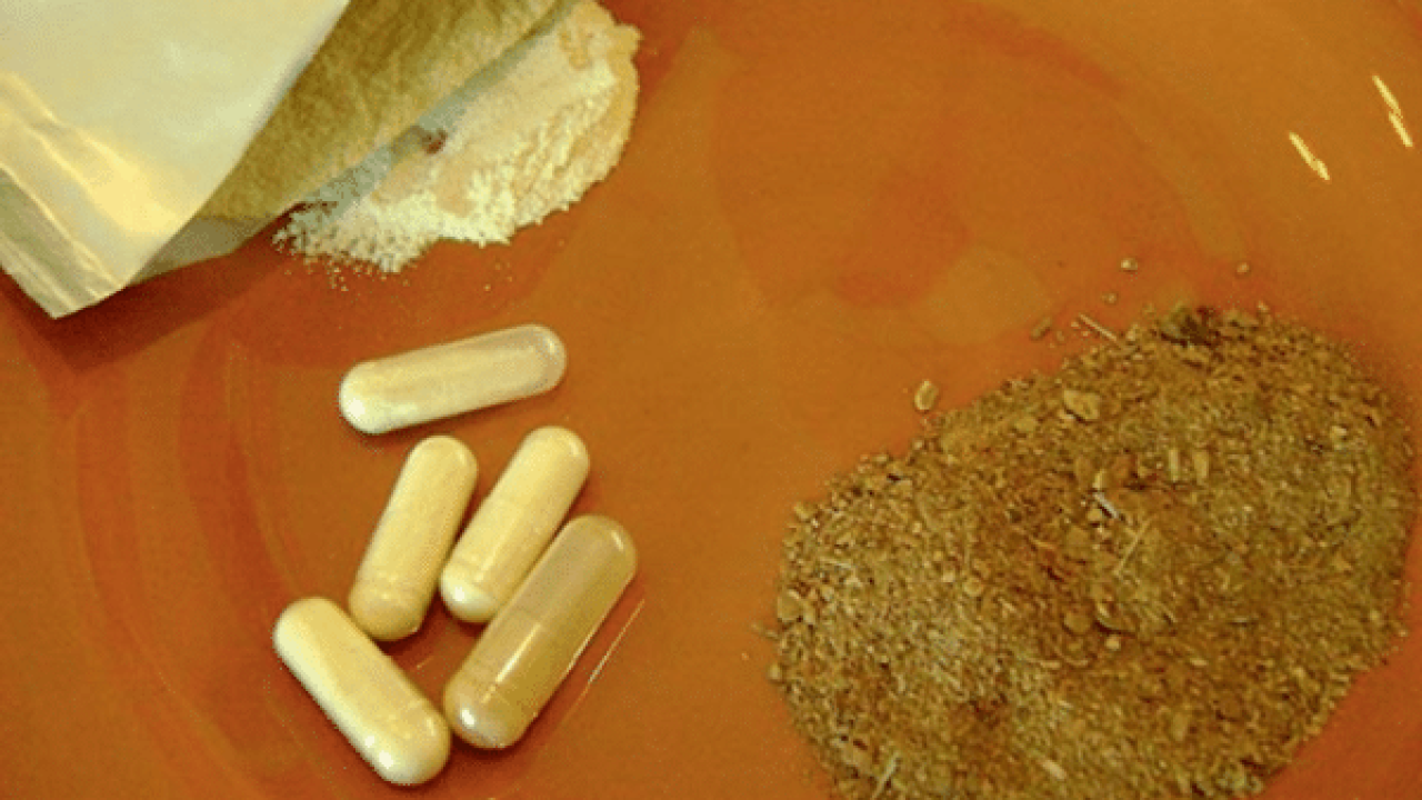 TRATAMENTO COM IBOGAÍNA - PORTAL VIDA LIMPA